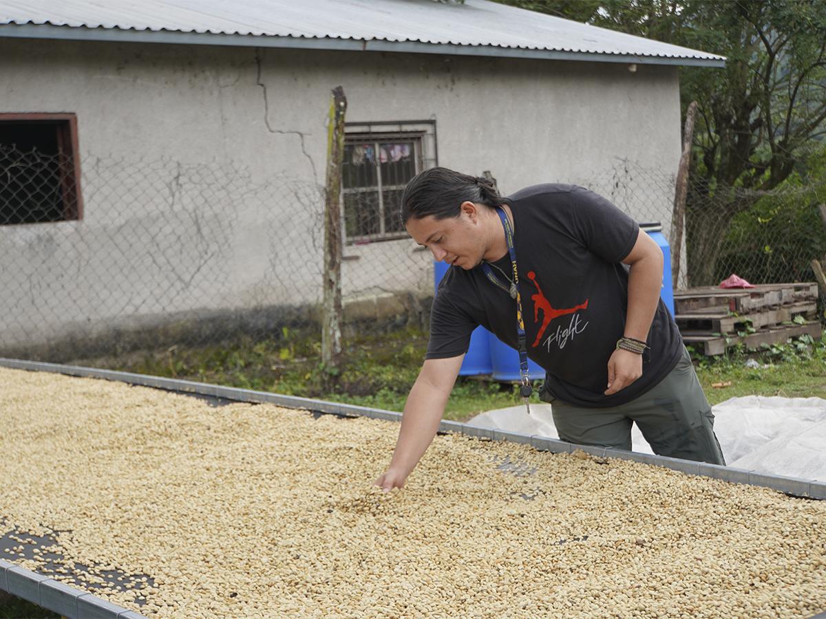 Con un equipo mas amplio y diversificado, la cooperativa ha podido optimizar la gestión de tareas clave.
