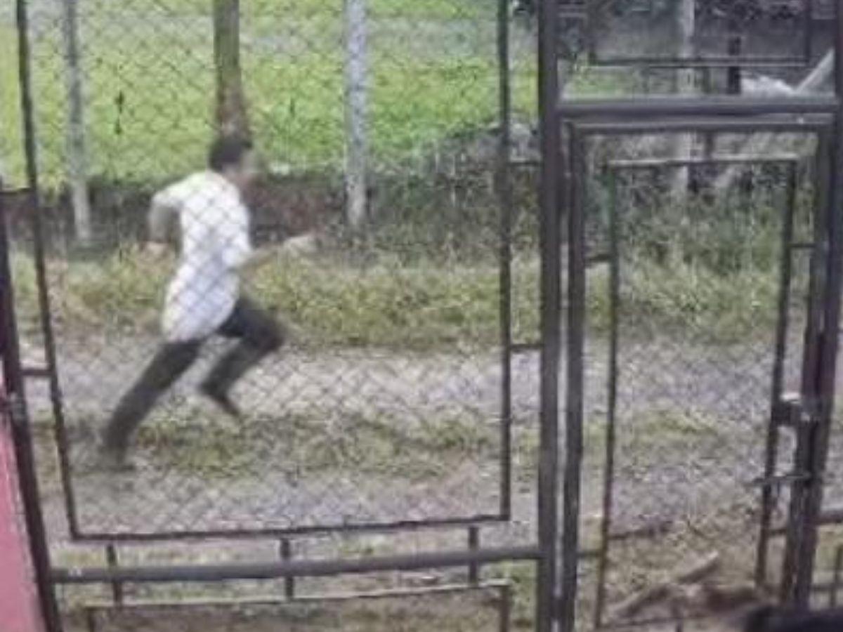 El Diablo disfrazado: Joven escapa de pastor que intentó abusar de ella y ultimarla