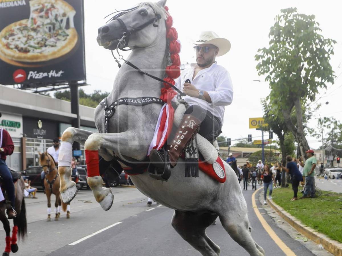 Belleza y alegría en el desfile hípico en San Pedro Sula