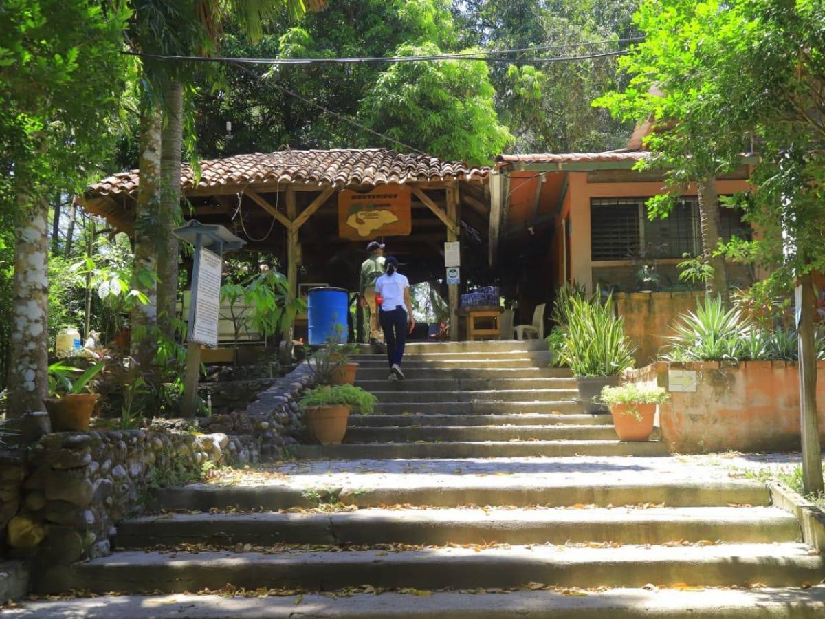 Calan Park y El Ocote: atractivos turísticos que ofrece Villanueva