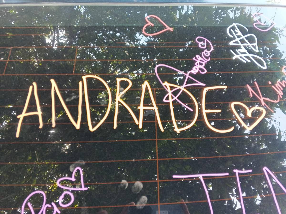 Seniors de Light and Vision celebran su entrada