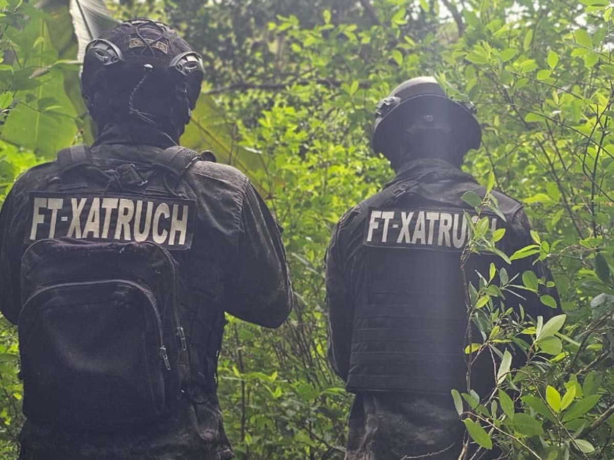 Más de 44,000 arbustos de hoja de coca y dos picaderos son asegurados en Colón