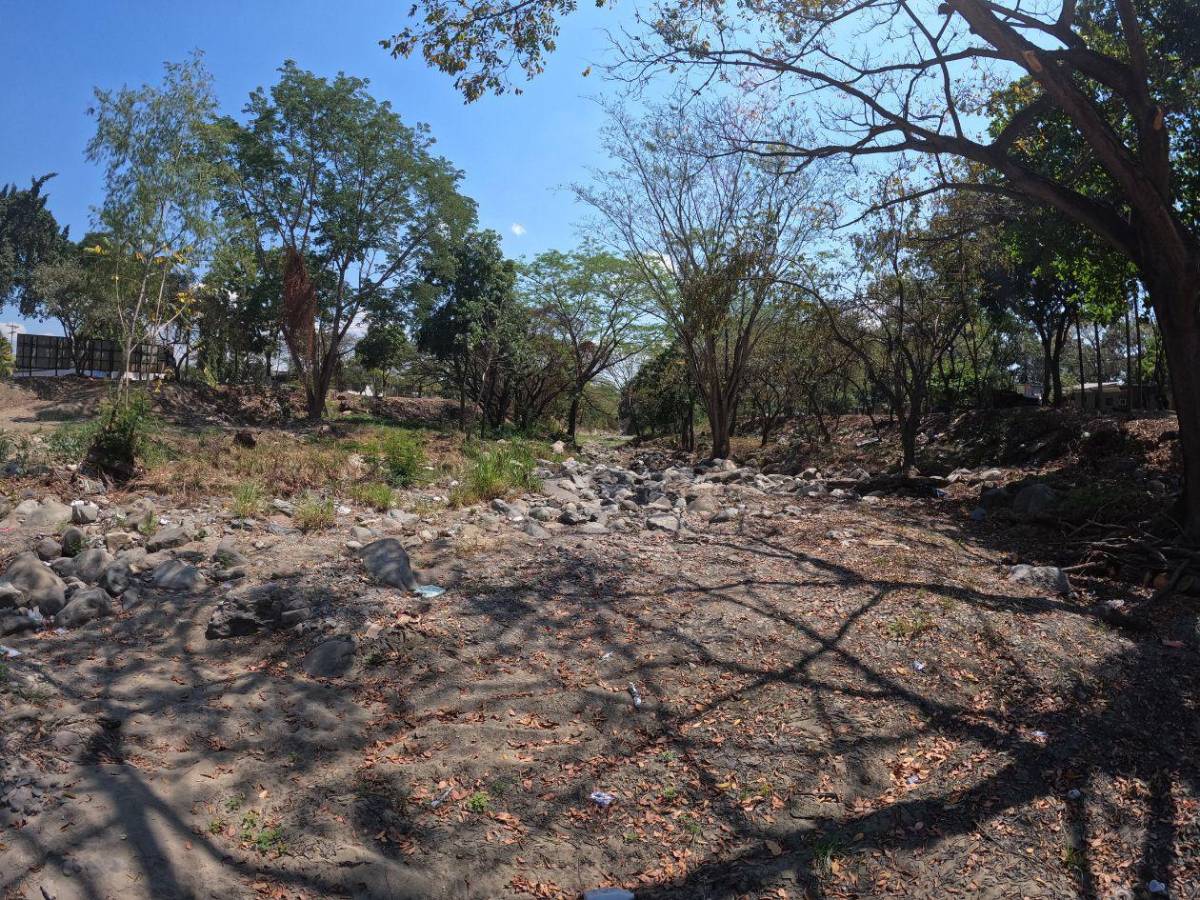 Alimentos, agua y salud: así será distribuida la ayuda para 762,000 hondureños