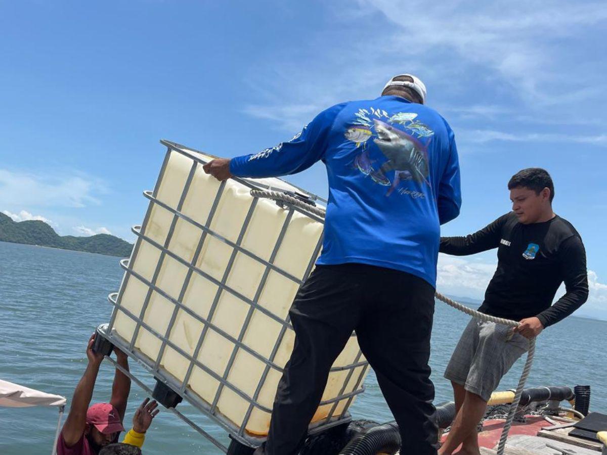 ¿Quién es la mujer que aceptó el reto de rescatar el velero Rosalinda?