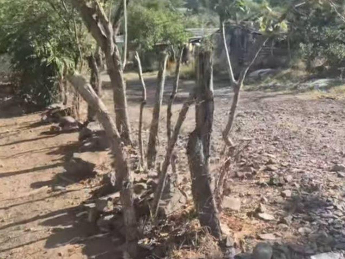 Le tocaron la puerta antes: matan a ex precandidata a diputada por Libre