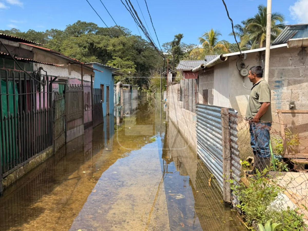 Desbordamiento del Lago de Yojoa deja casas bajo el agua en La Guama