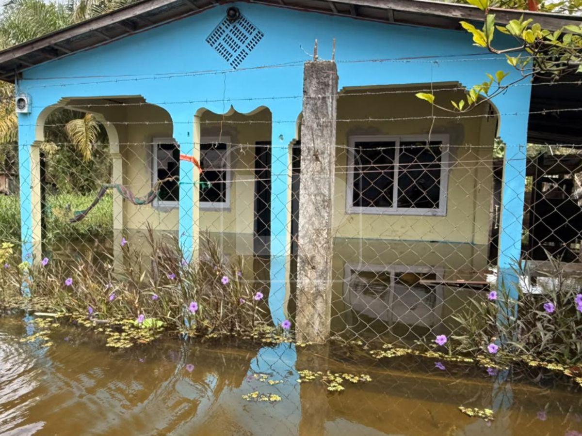 Desbordamiento del Lago de Yojoa deja casas bajo el agua en La Guama