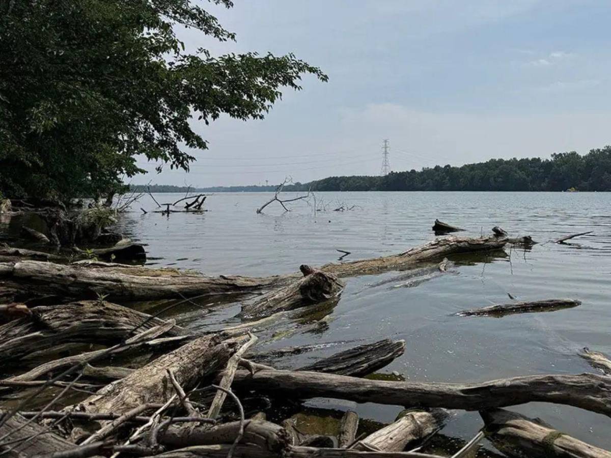 Mortal y profundo:  así es el río en el que murieron cuatro hondureños en Ohio
