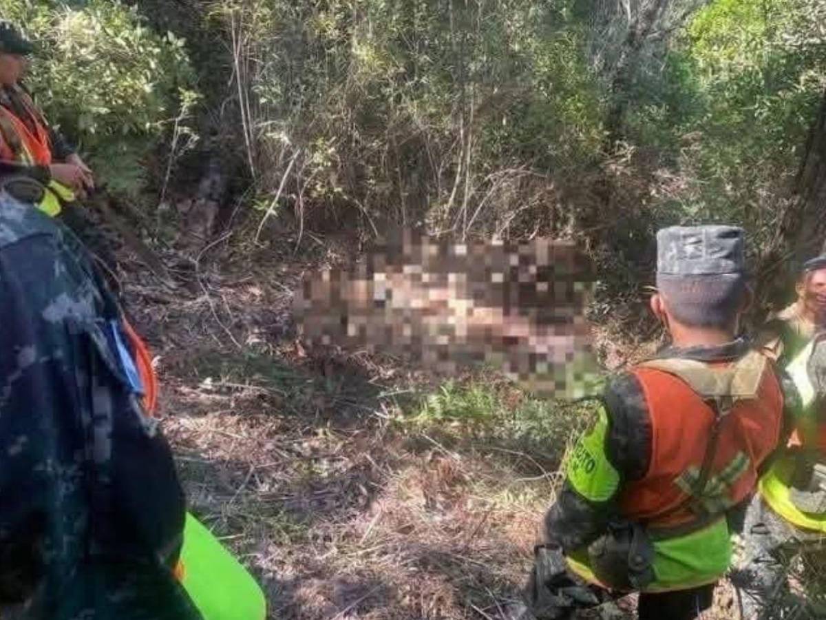 Ambientalista e hijo habrían sido desmembrados con la misma motosierra que usaban taladores