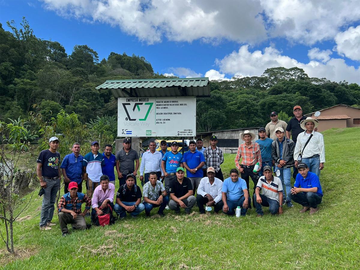 Desde cafés certificados hasta microlotes, mezclas regionales y lotes comunitarios, Molinos puede ofrecer calidad y trazabilidad total en todas las etapas del proceso.