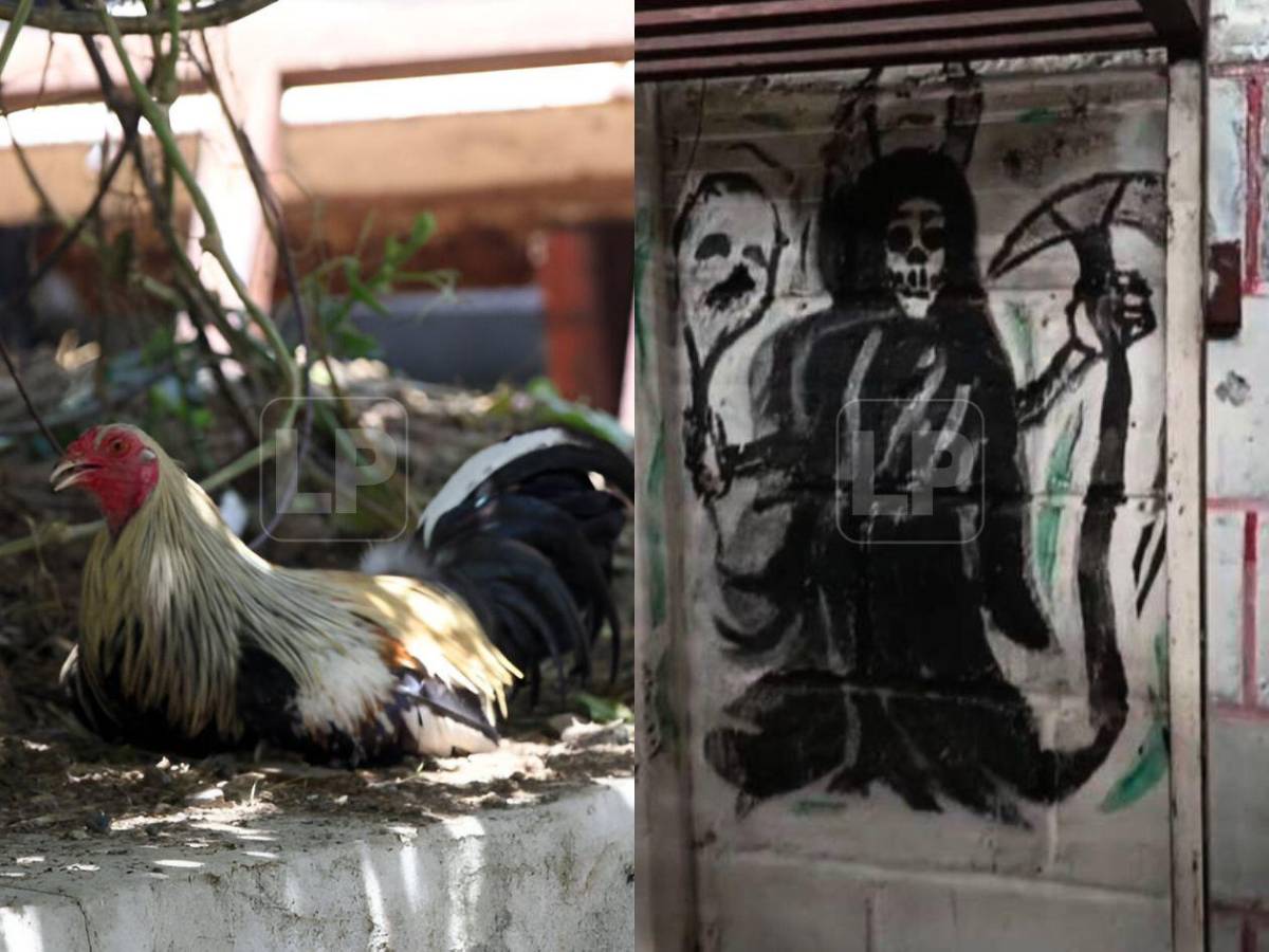 Gallos y la Santa Muerte: así es Támara VIP por dentro