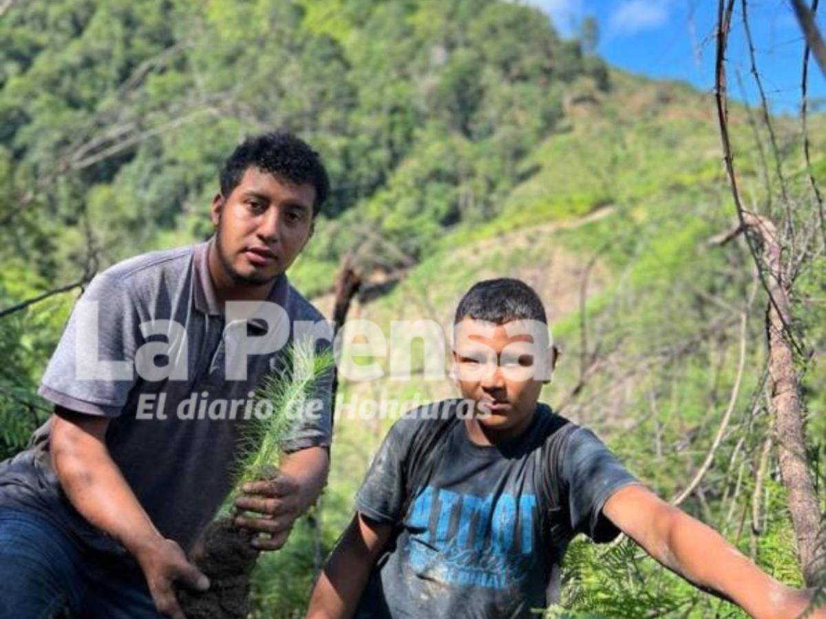 Periodista hondureño sale a buscar tomas desde la montaña y termina mordido por serpiente