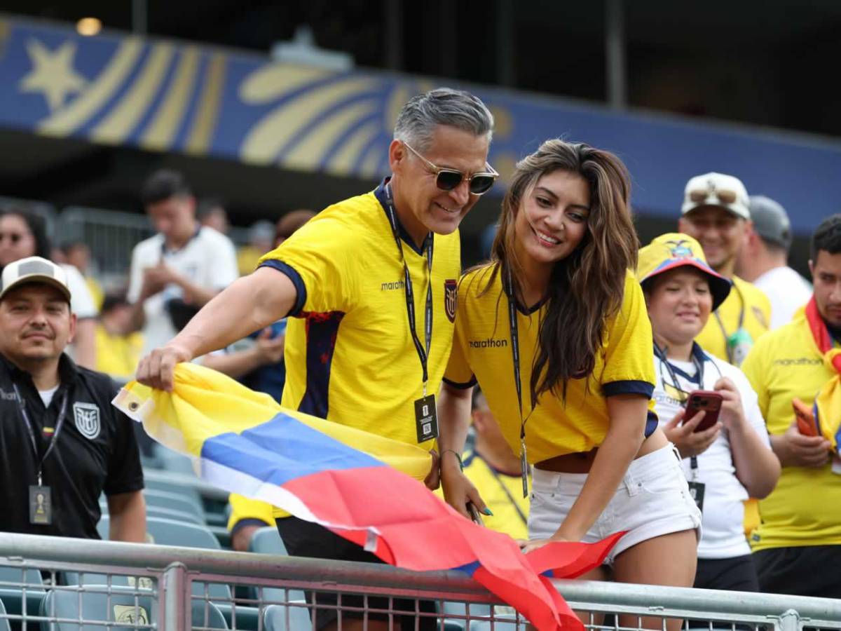 Héroe de Costa de Marfil, tristeza de Ecuador y afición, de la fiesta al drama en el Mundial