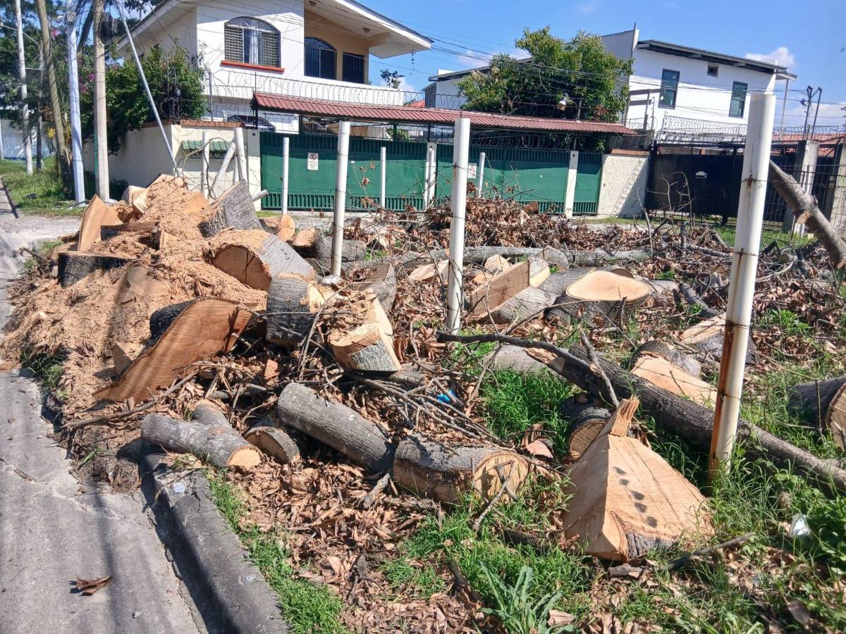 Jardines del Valle también muestra lo que las motosierras de Contreras se llevaron