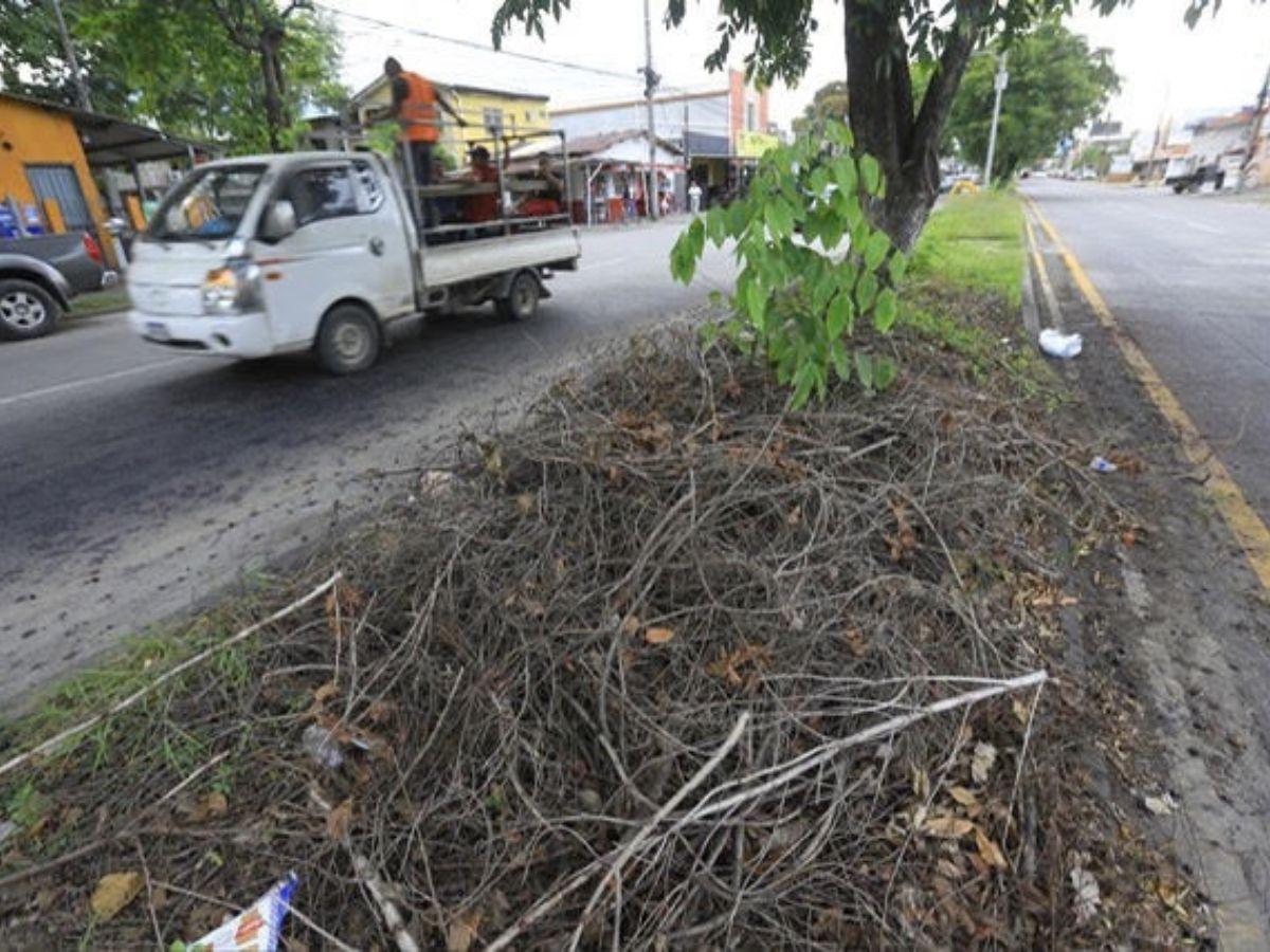 La mediana de la transitada avenida Júnior está convertida en un enorme basurero