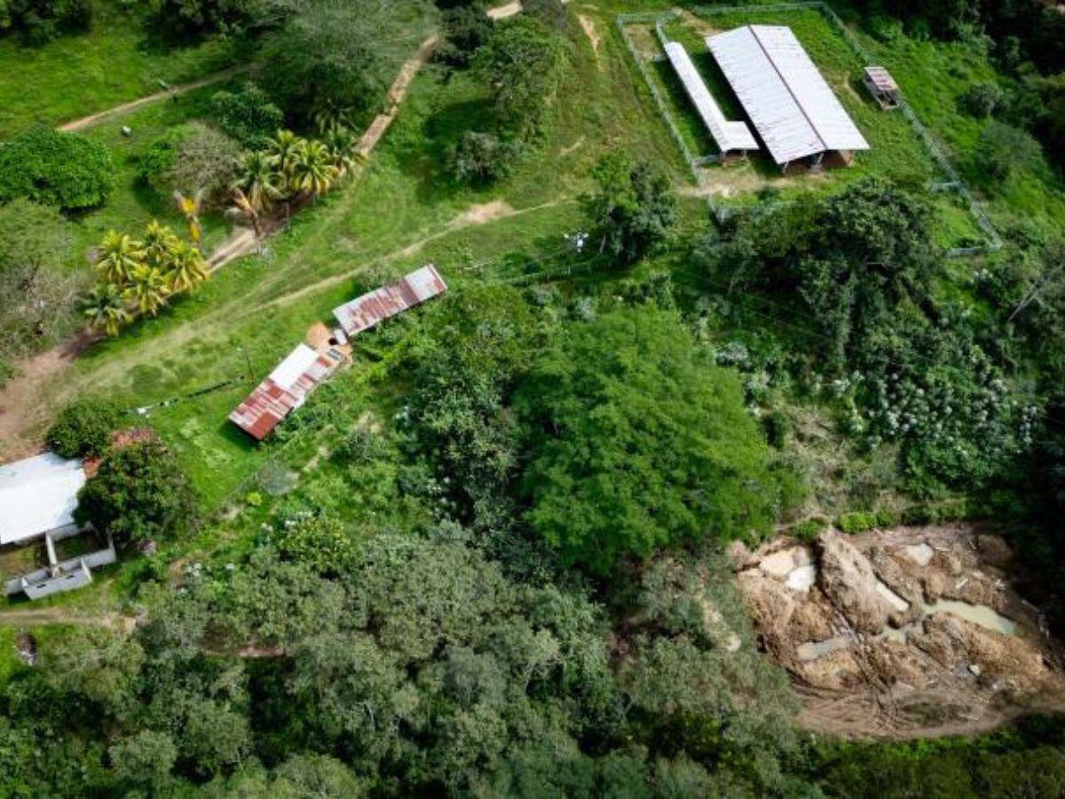 ¿Cómo ocultó Magdaleno Meza los dólares bajo tierra?