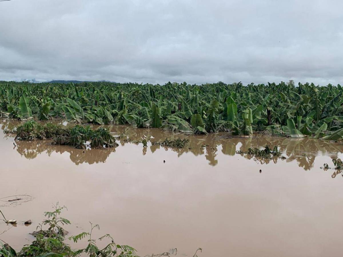 Honduras: cero tormentas impactaron en 2025 pese al pronóstico de 21 sistemas