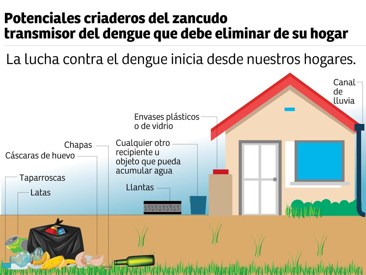 Potenciales criaderos de zancudo que serán eliminados en el marco de la campaña “Todos contra el dengue” que arrancará el sábado 13 de julio en el sector Los Cármenes.