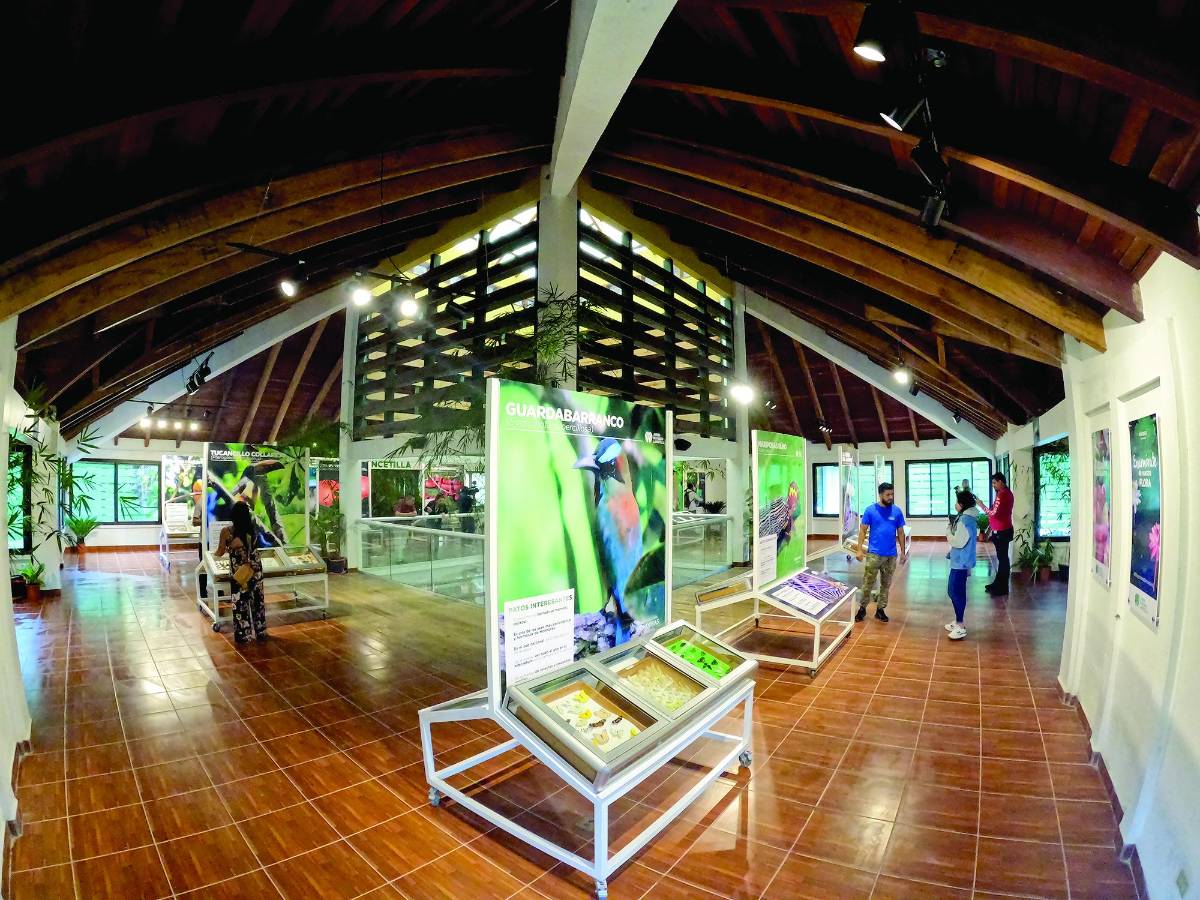 El jardín es uno de los más importantes en Latinoamérica, hay una variedad de especies en flora y fauna.