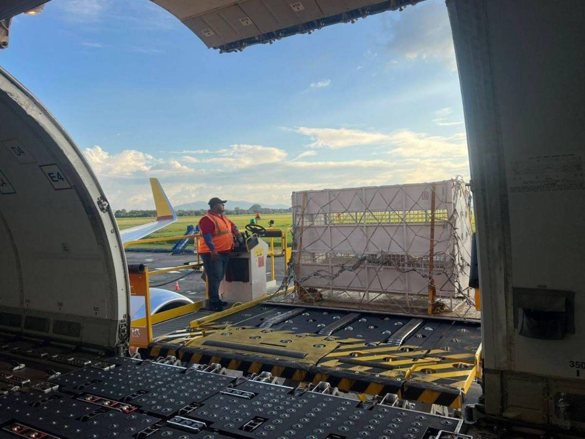 Esta es la razón por la que Honduras reubica ocho grandes felinos en EEUU