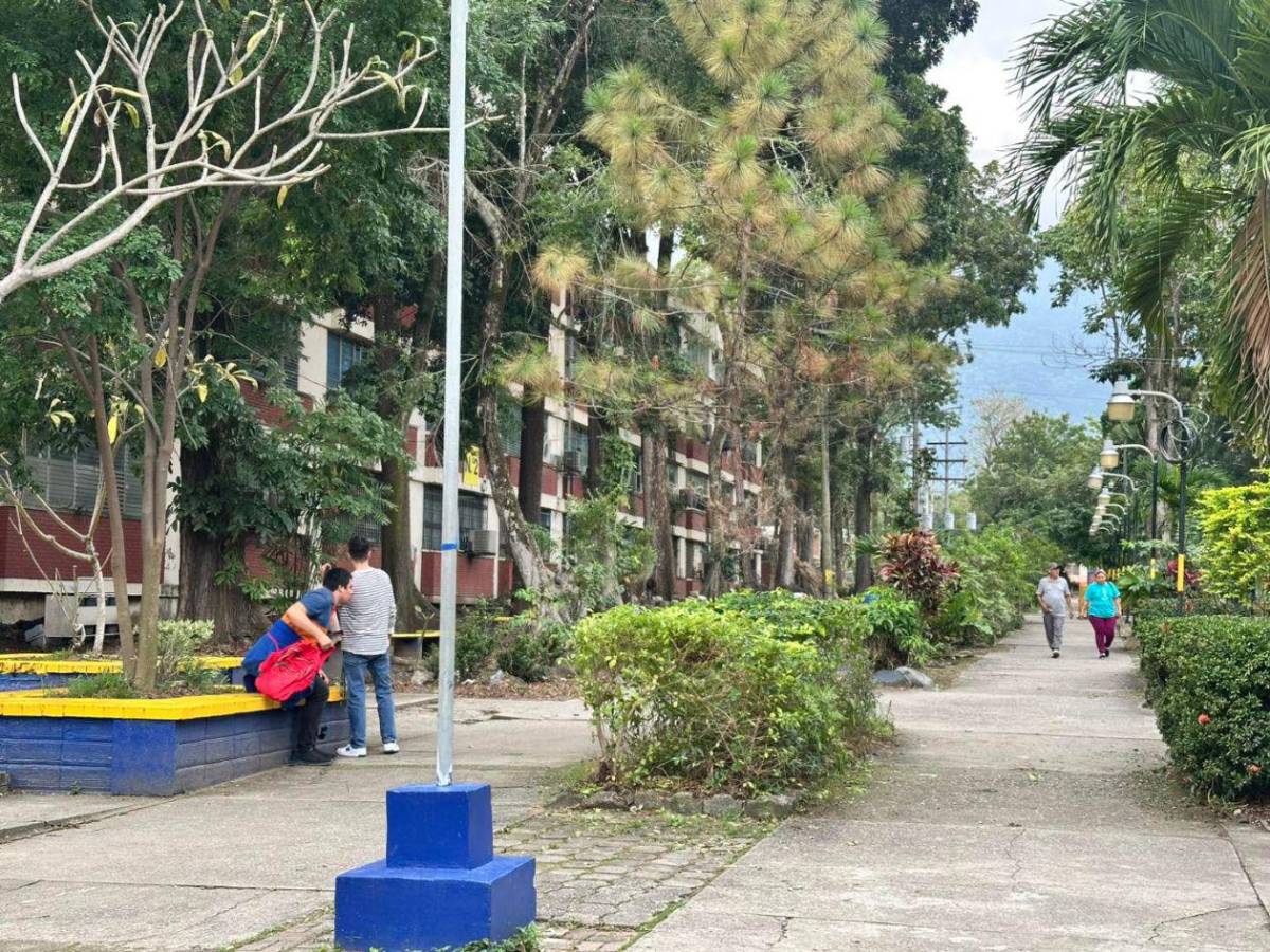 Anuncian cambios temporales en el acceso vehicular a la Unah-Cortés
