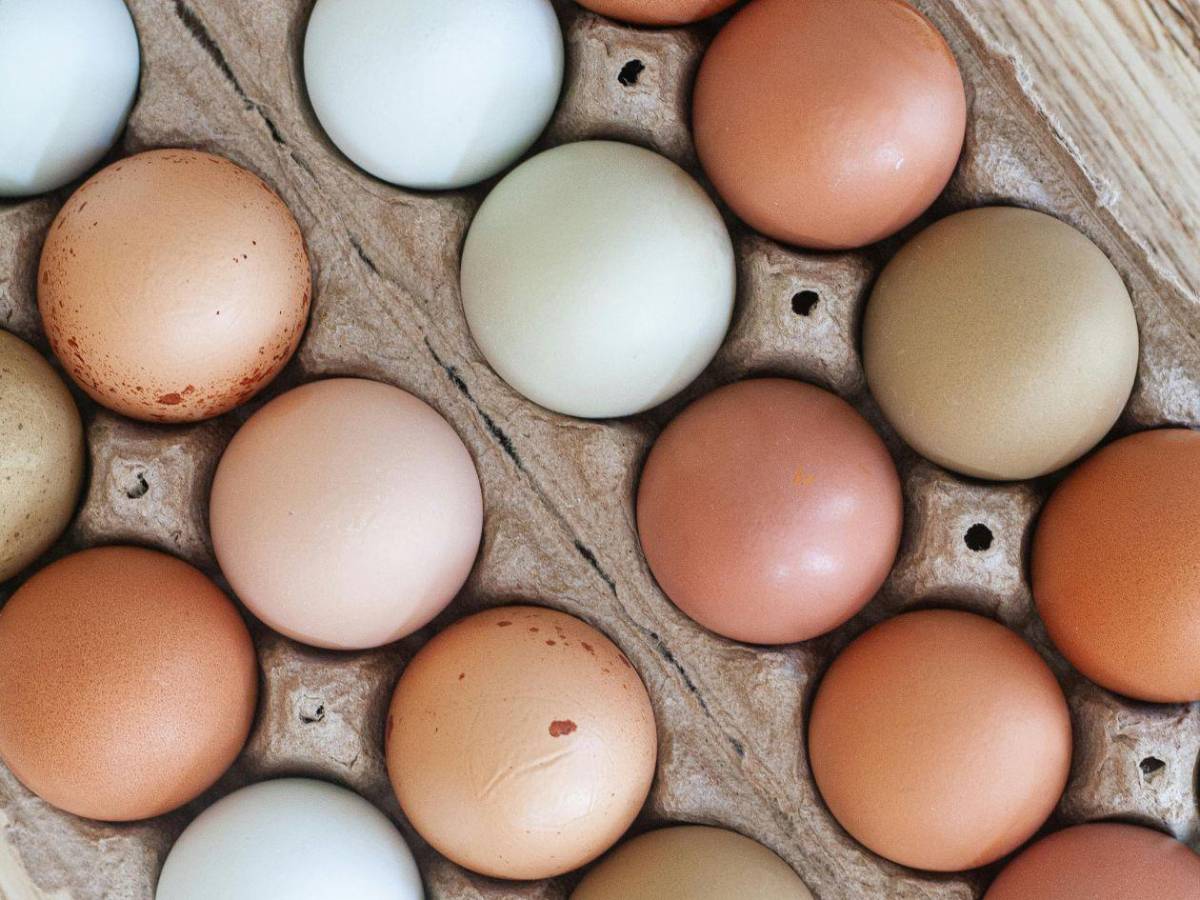 ¿Puedo comer pollo y huevos? Las 15 preguntas y respuestas sobre la gripe aviar