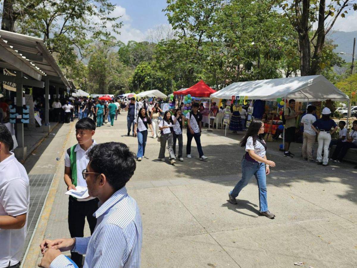 ¿Cuánto invierte la Unah en la pavimentación del Campus Cortés?
