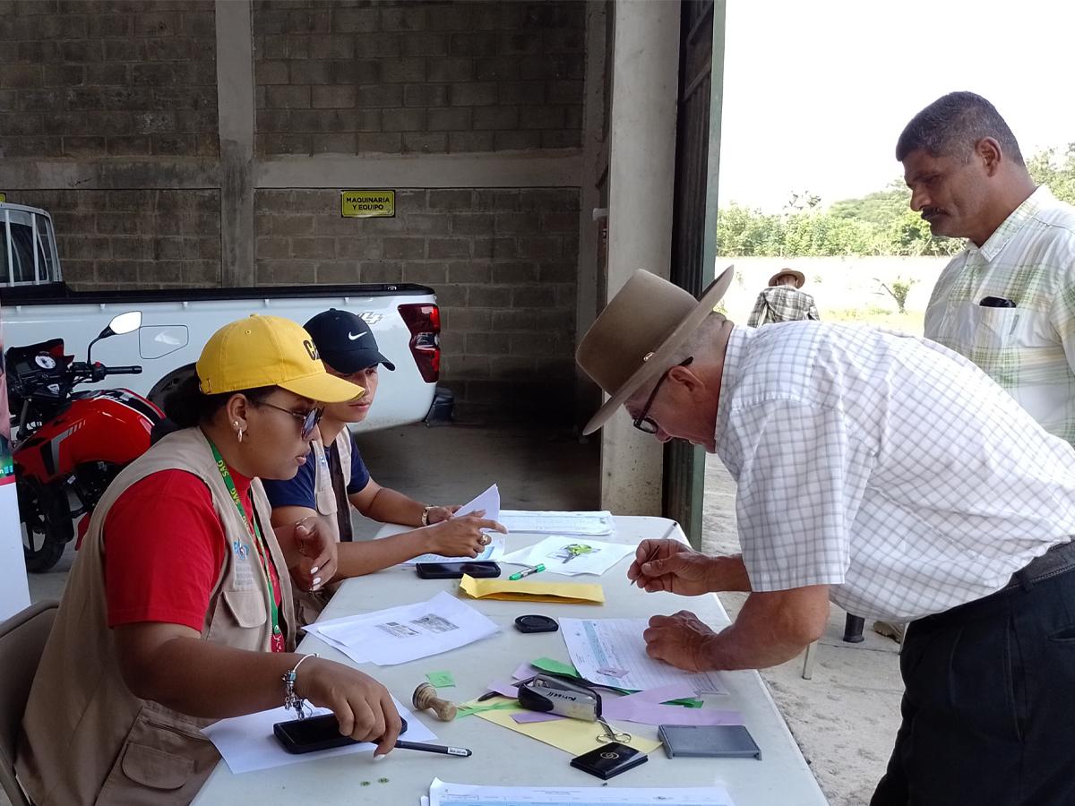 Gobierno destina 250 millones de lempiras para bono cafetalero