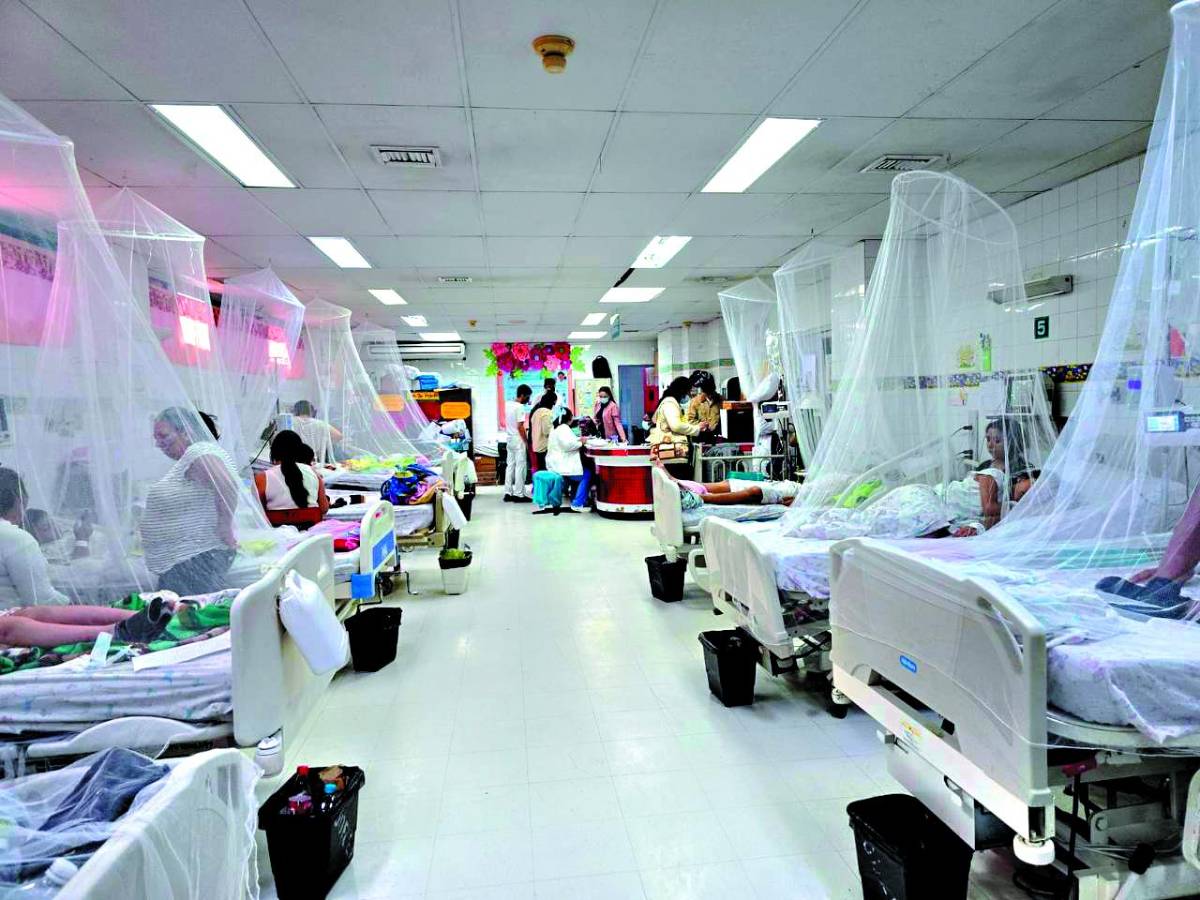 Circulación de los cuatro seropitos del dengue complicarán en agosto