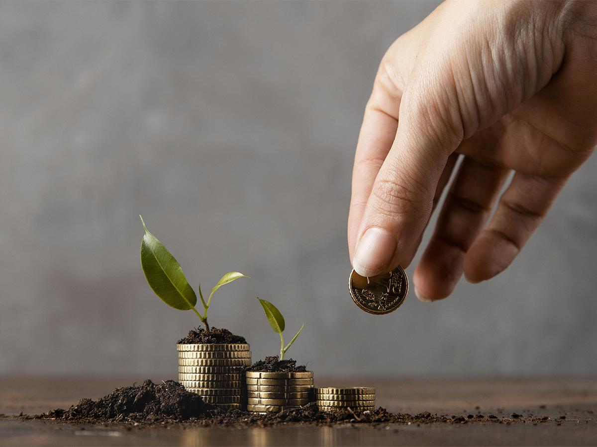 En el RAP, tus ahorros crecen de manera constante y segura.