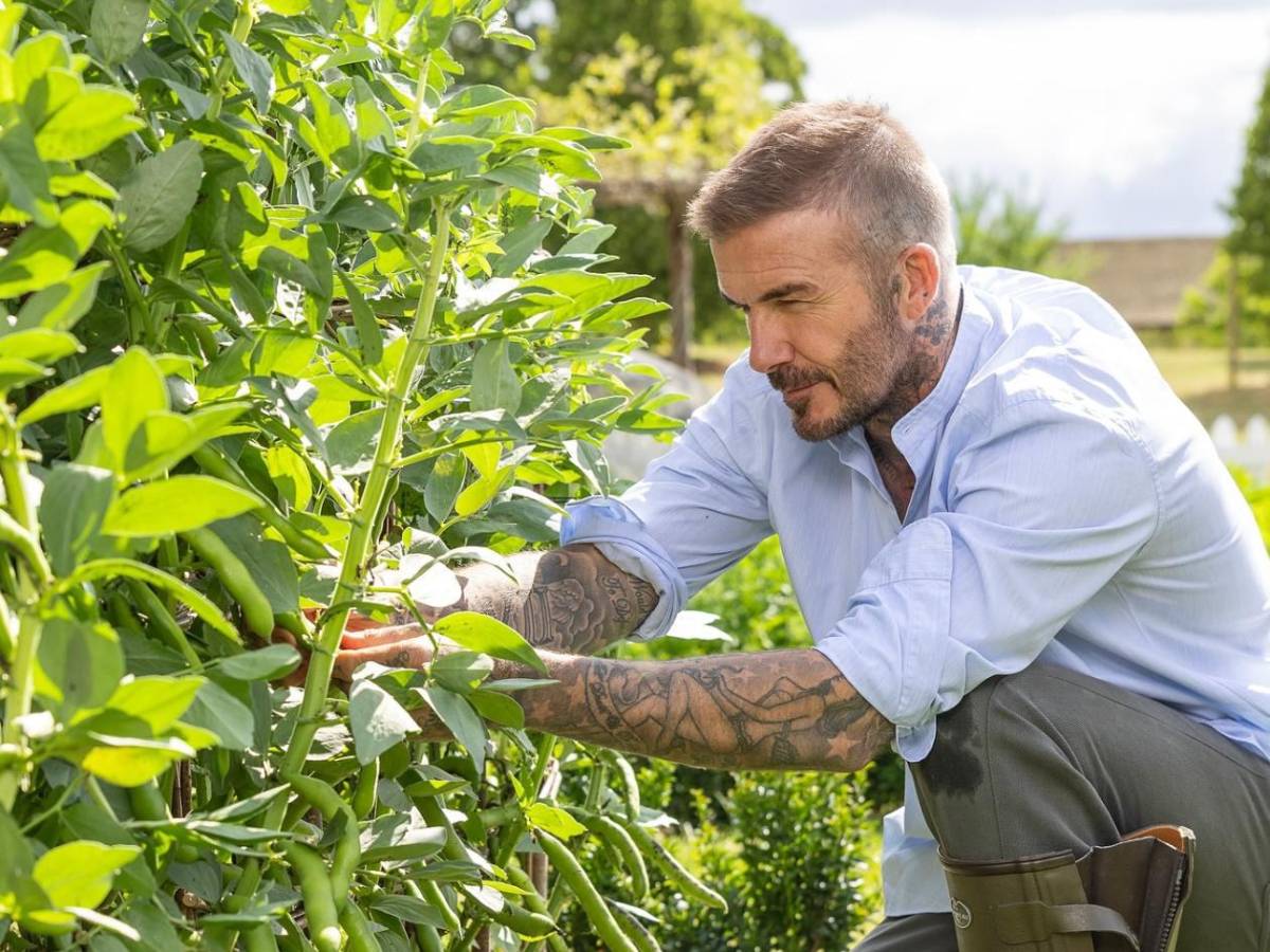 David y Victoria Beckham son denunciados por sus vecinos y se desata guerra: Es una falta de respeto