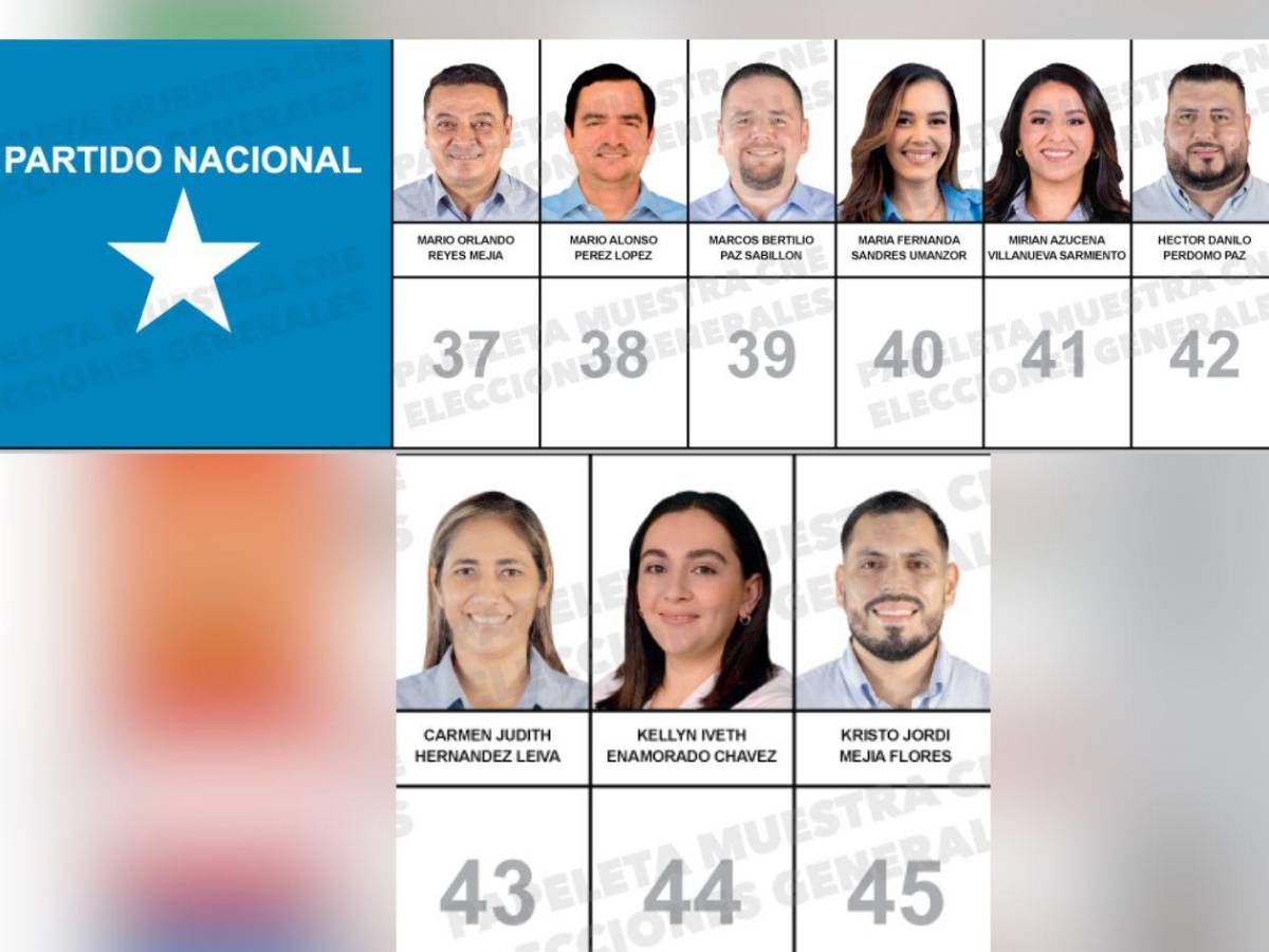 Abogados, docentes y un exárbitro buscan un curul en el Congreso Nacional