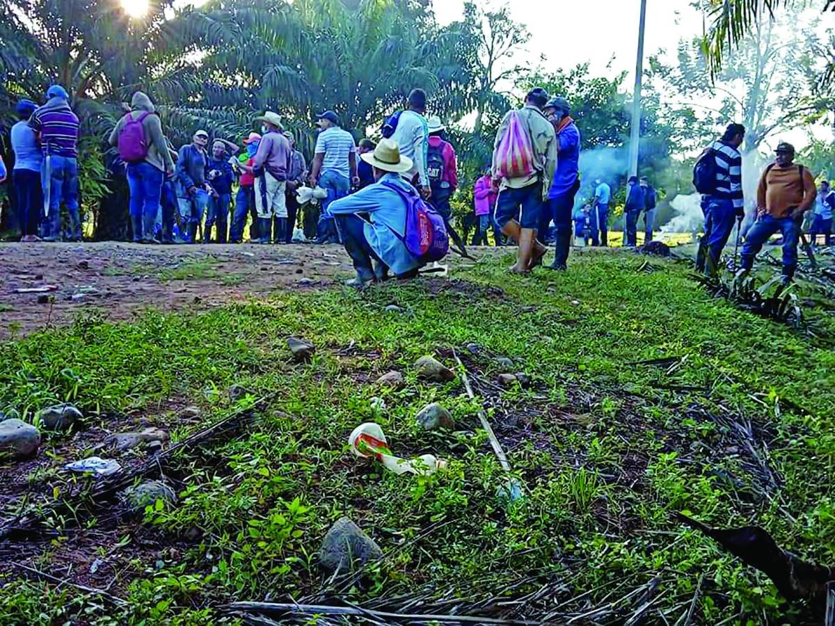 Demandan celeridad con decreto que dará tierras a campesinos