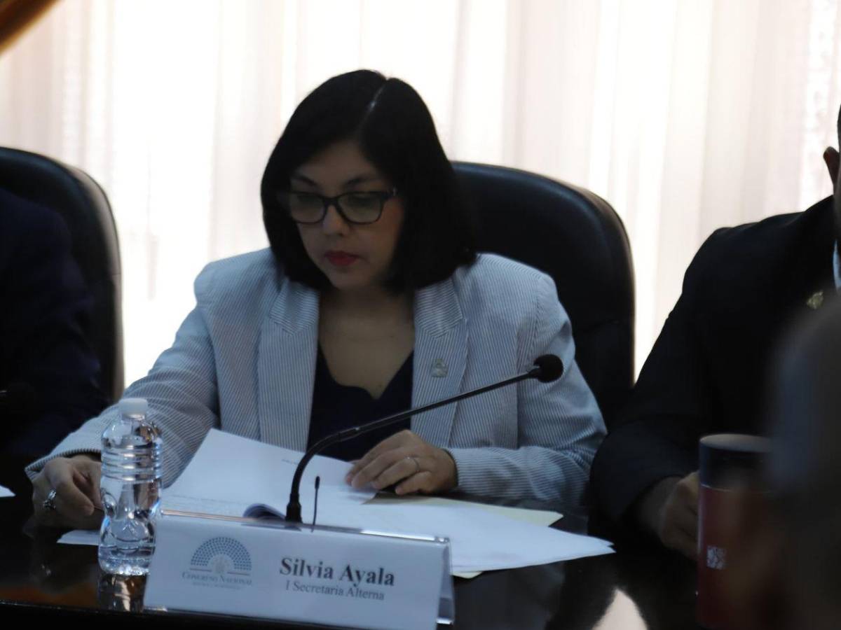 De Libre y afines: ¿quiénes integran la Comisión Permanente del CN?