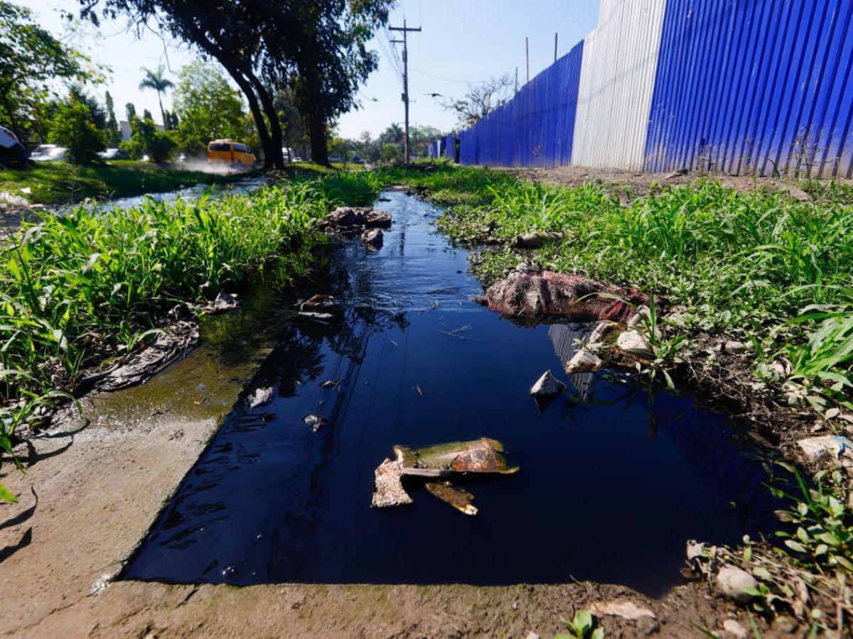 Derrame de aguas negras en el bulevar del sur acumula meses de contaminación