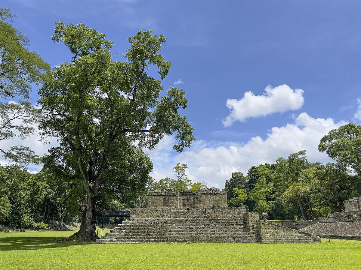 Honduras lidera Congreso de Arqueología de la cultura maya