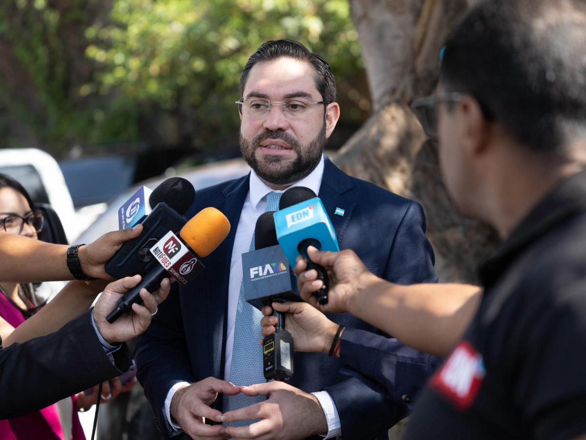 Jorge Cálix dice que Marlon Ochoa no debe presidir el CNE en año electoral