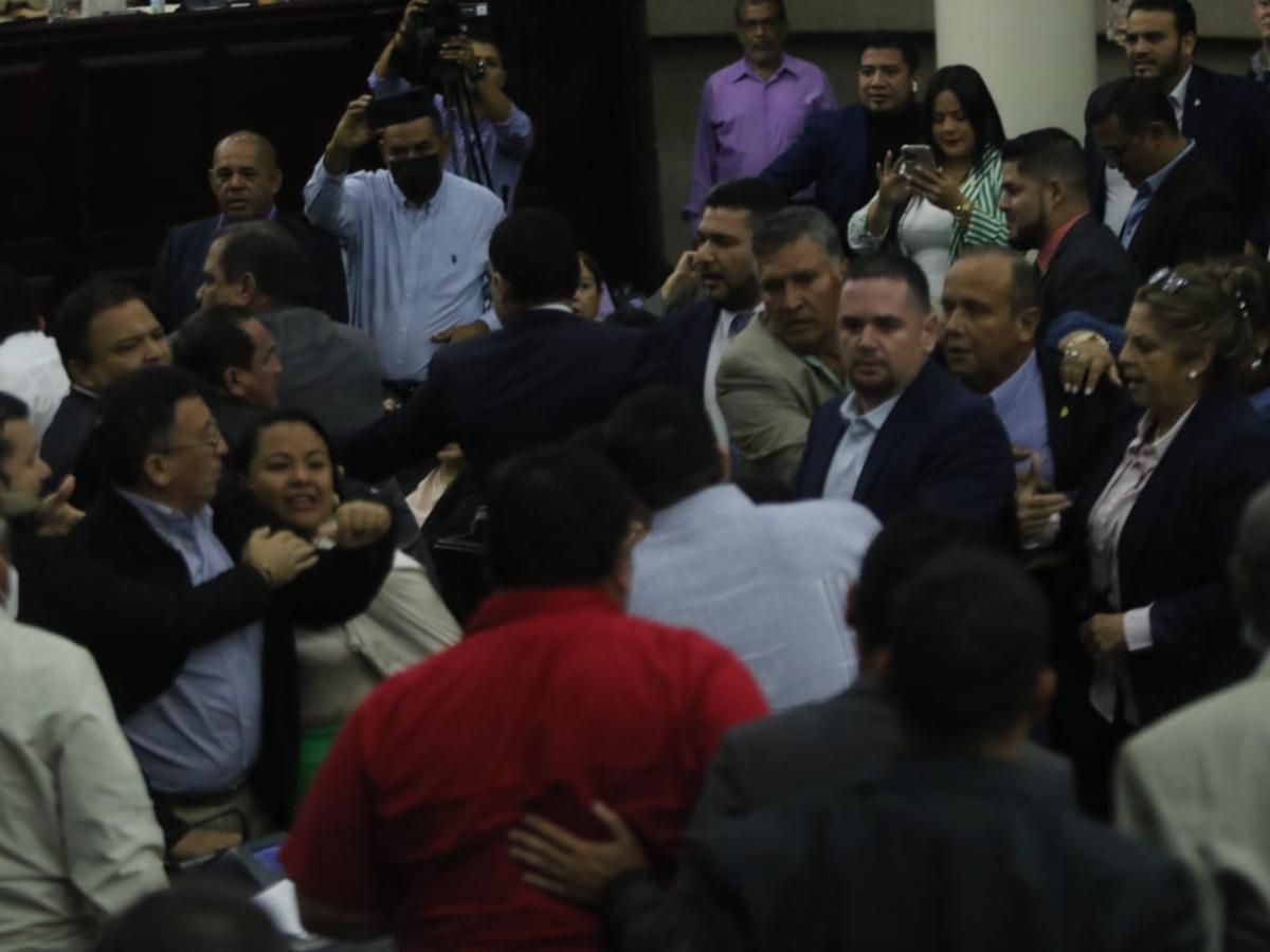 Diputados de Libre y el PN se van a golpes en sesión