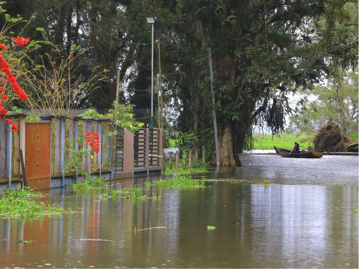 Impactos y afectaciones tras la recuperación del único lago en Honduras