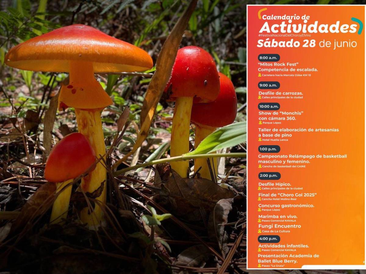 Dos eventos para conocer el sabor del bosque y el vuelo a la libertad en Copán e Intibucá