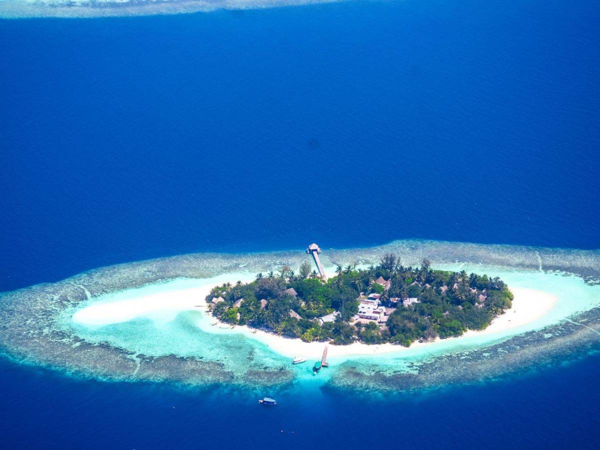 ¿Cuál es el primer país en celebrar el Año Nuevo?