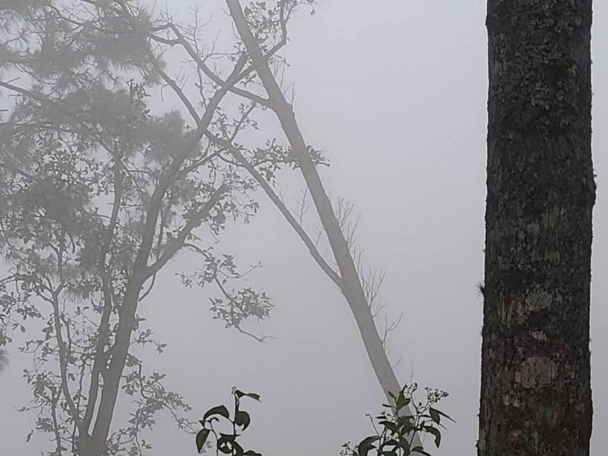 ¡Hasta 6 grados en Intibucá! Frío se intensifica en el occidente de Honduras