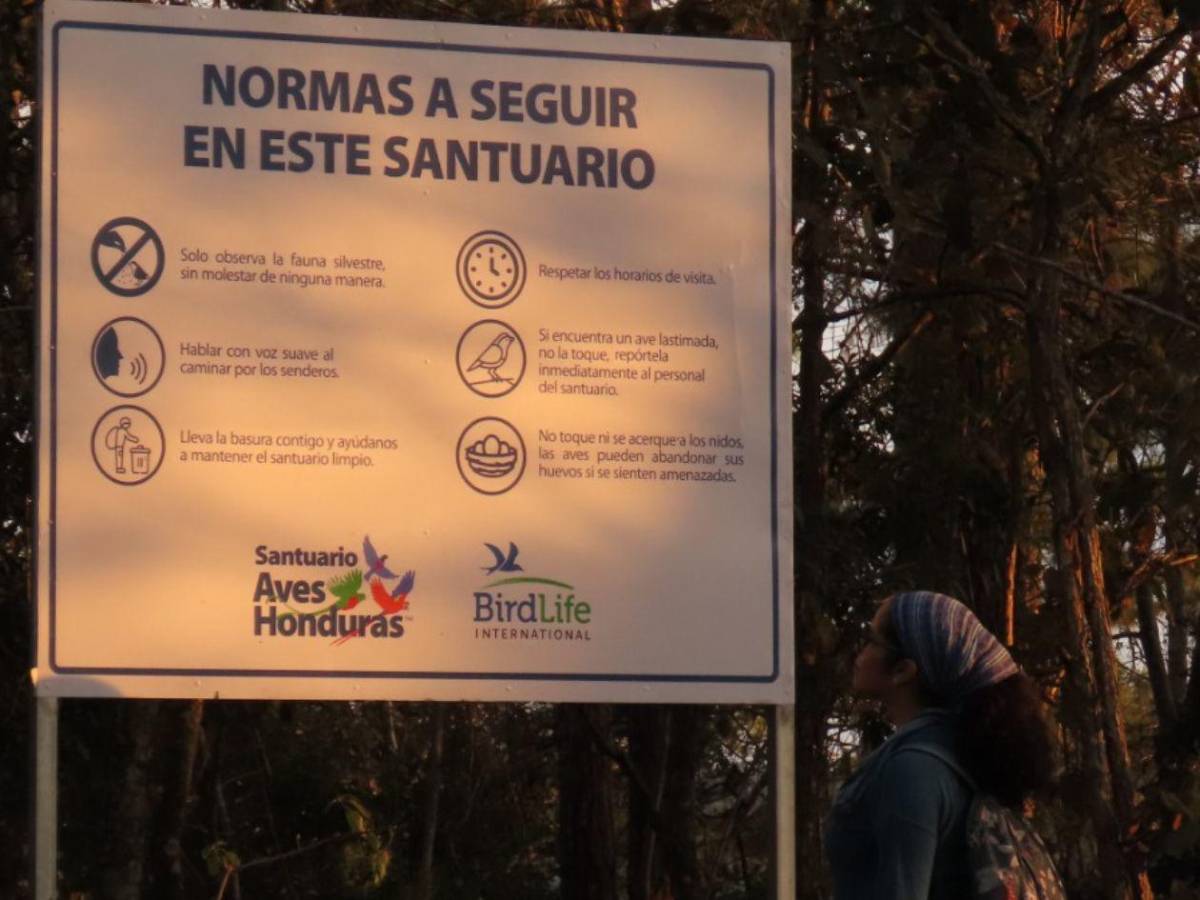 Honduras protege su tesoro natural: impulsa plan para salvar su biodiversidad