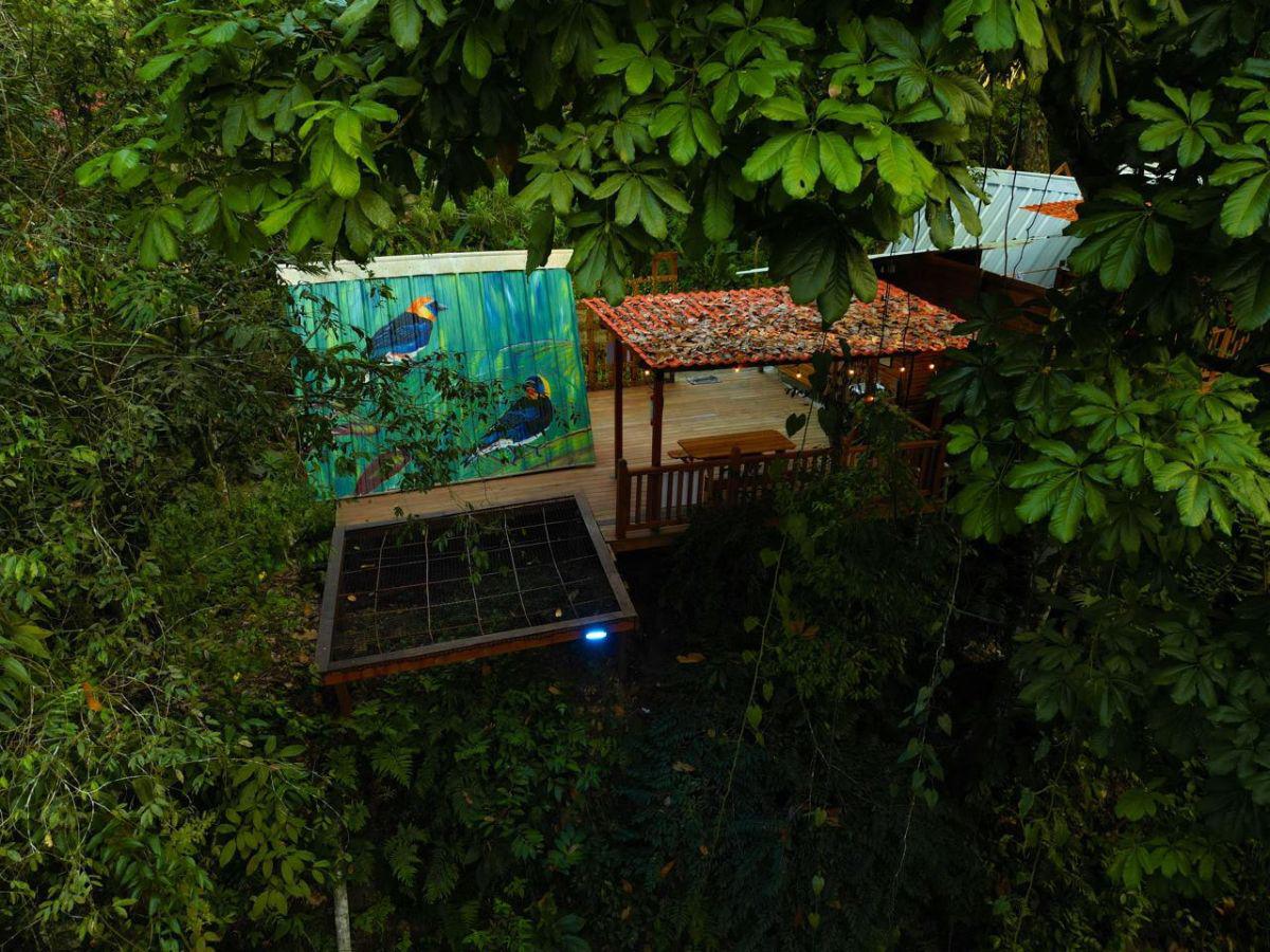 Conoce las innovadoras opciones de hospedaje en Honduras