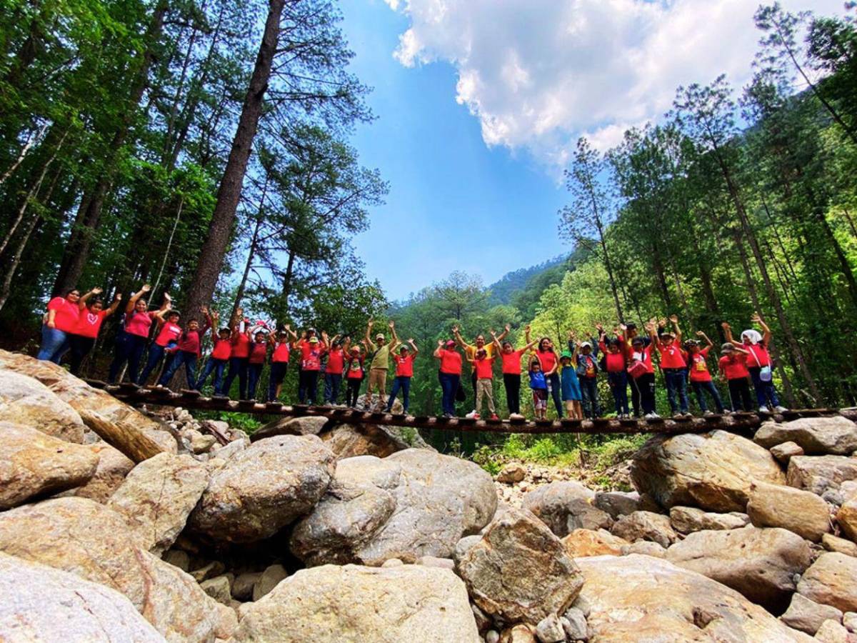 De bosques nublados a playas vírgenes: así de bellos son estos cinco parques nacionales