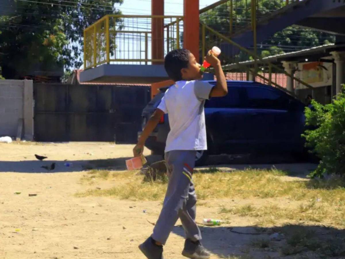 Recomendaciones clave para protección durante una ola de calor