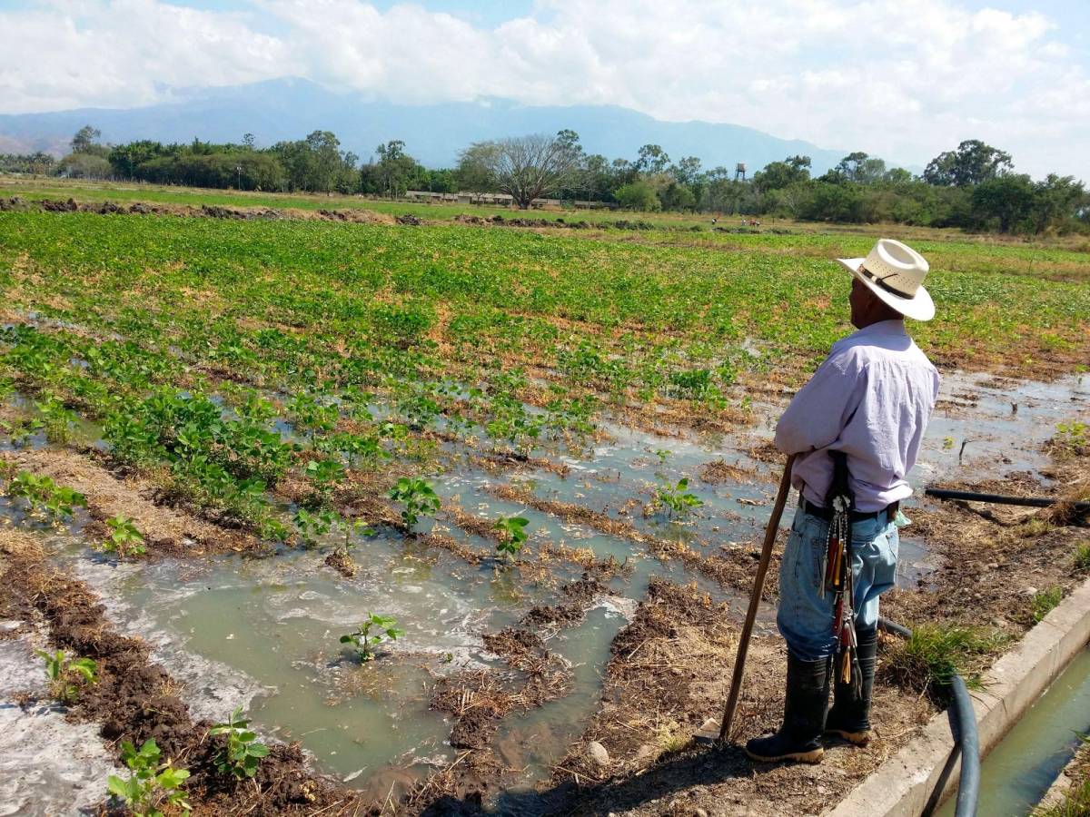 Llaman a invertir en el agro para evitar catástrofe en 2050