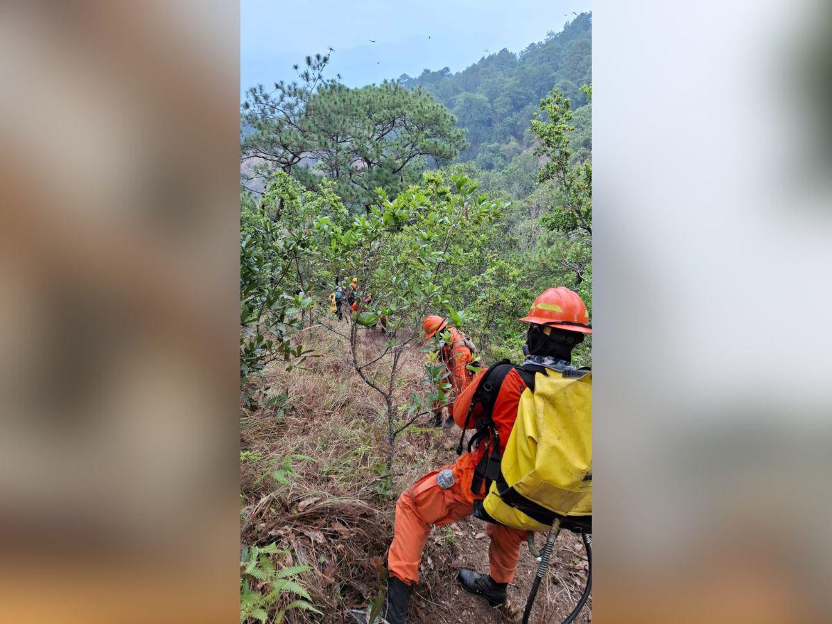 El Salvador en llamas: voraces incendios consumen mercados y cientos de hectáreas