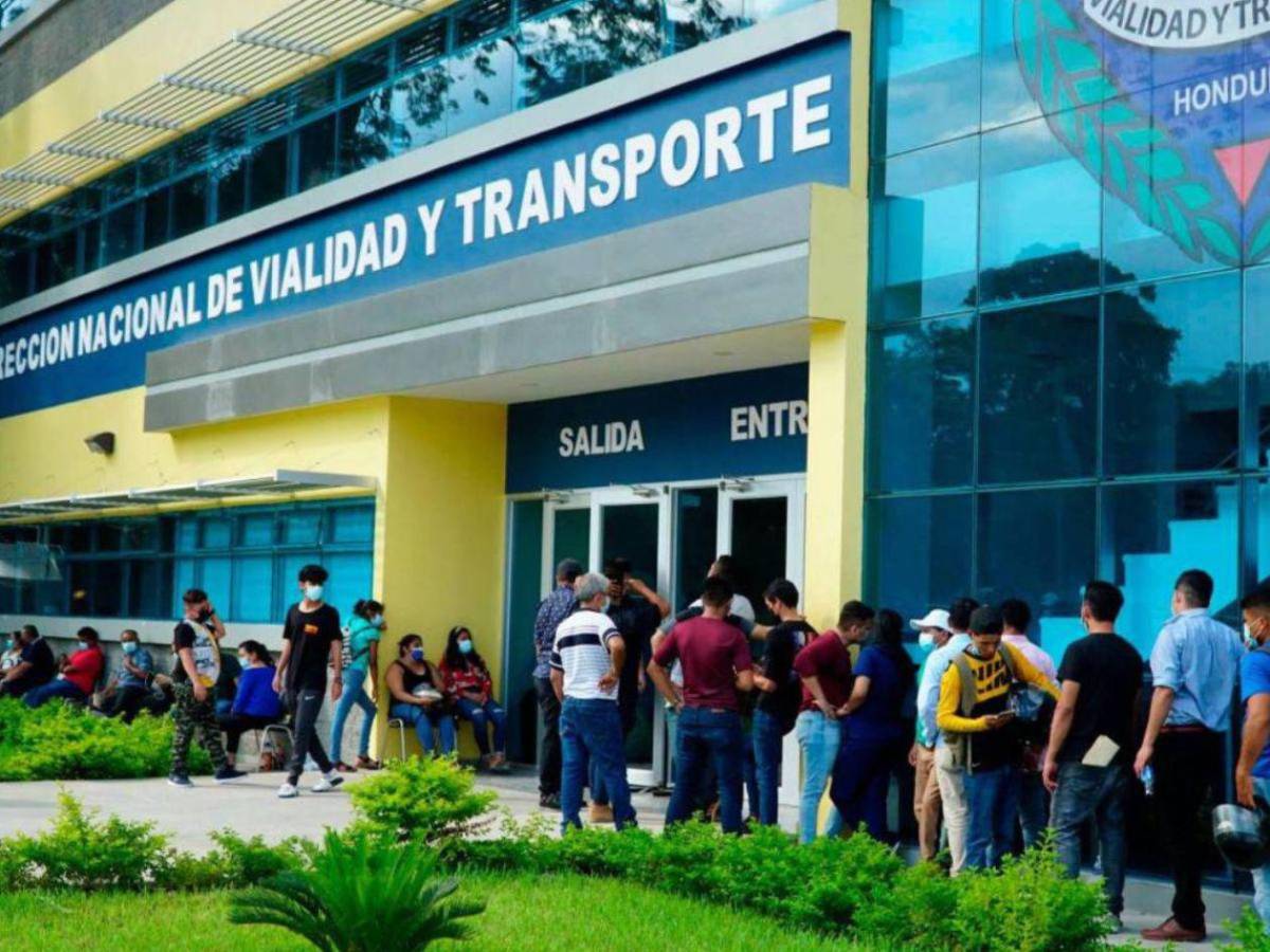 Todo lo que necesitas para obtener tu primera licencia de conducir