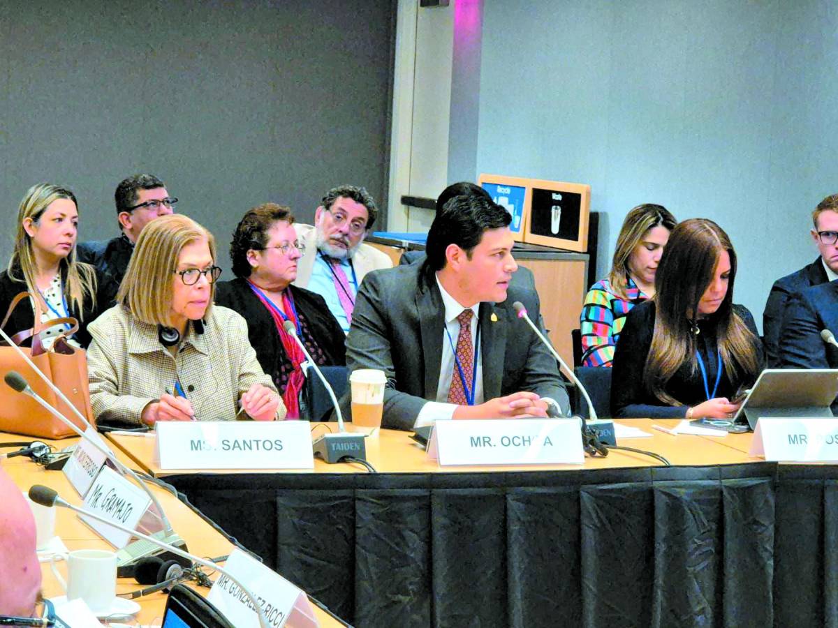 <b>Rebeca Santos y Ochoa recién se reunieron con el FMI.</b>